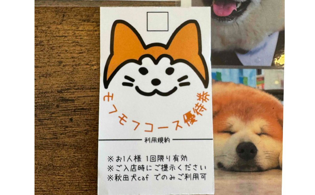もふもふ秋田犬ふれあい体験30分 大人（中学生以上）　1名様（ふれあい10分・1ドリンク付）　【35P8401】