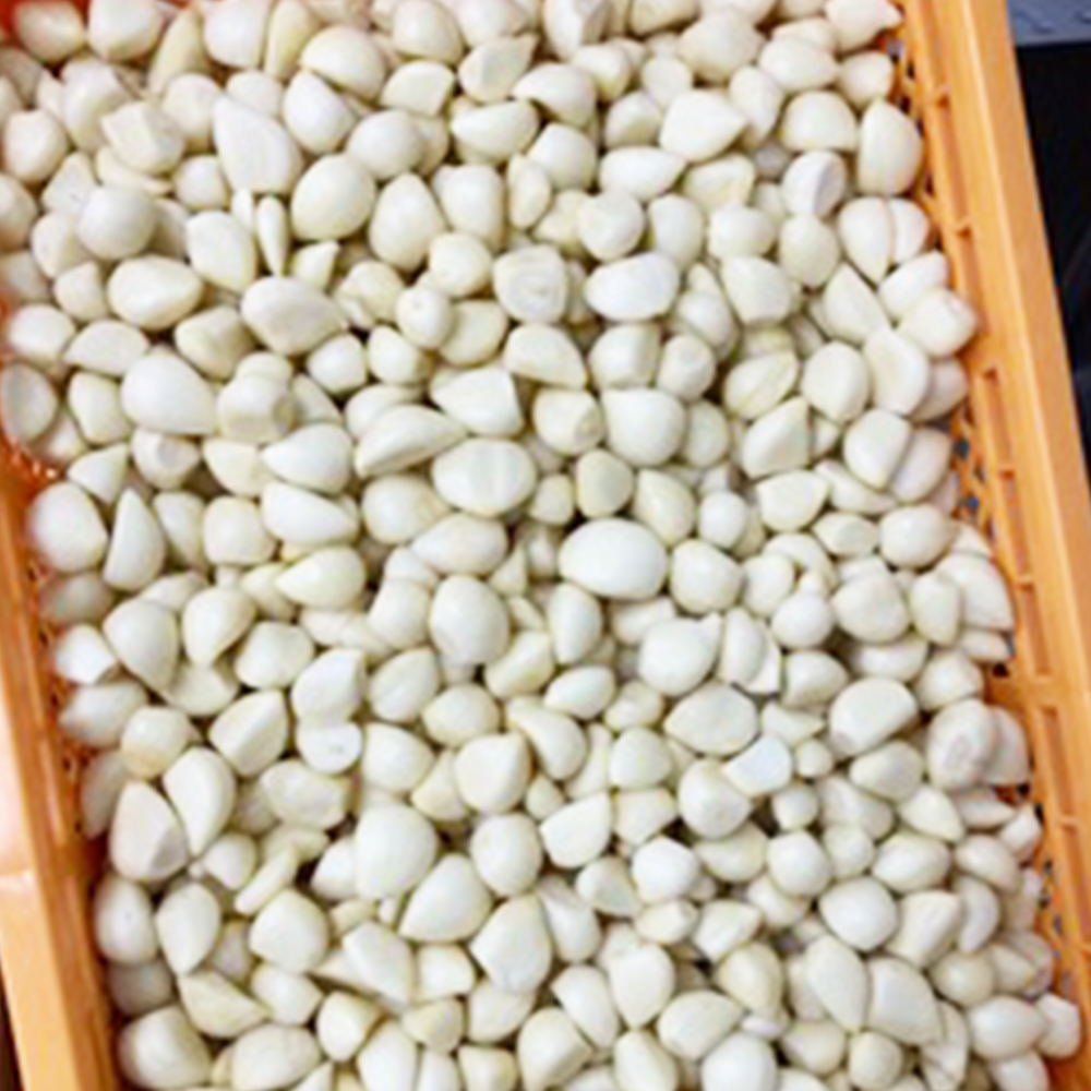 ããããããã¿ã«ãã«ã å·åããŒã¹ã 600gïŒçŽ200gÃ3è¢ïŒã40P3220