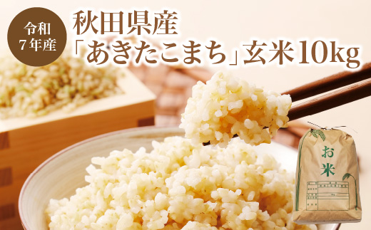 【令和7年産】秋田県産「あきたこまち」玄米10kg（10kg×1袋）　【180P9023】