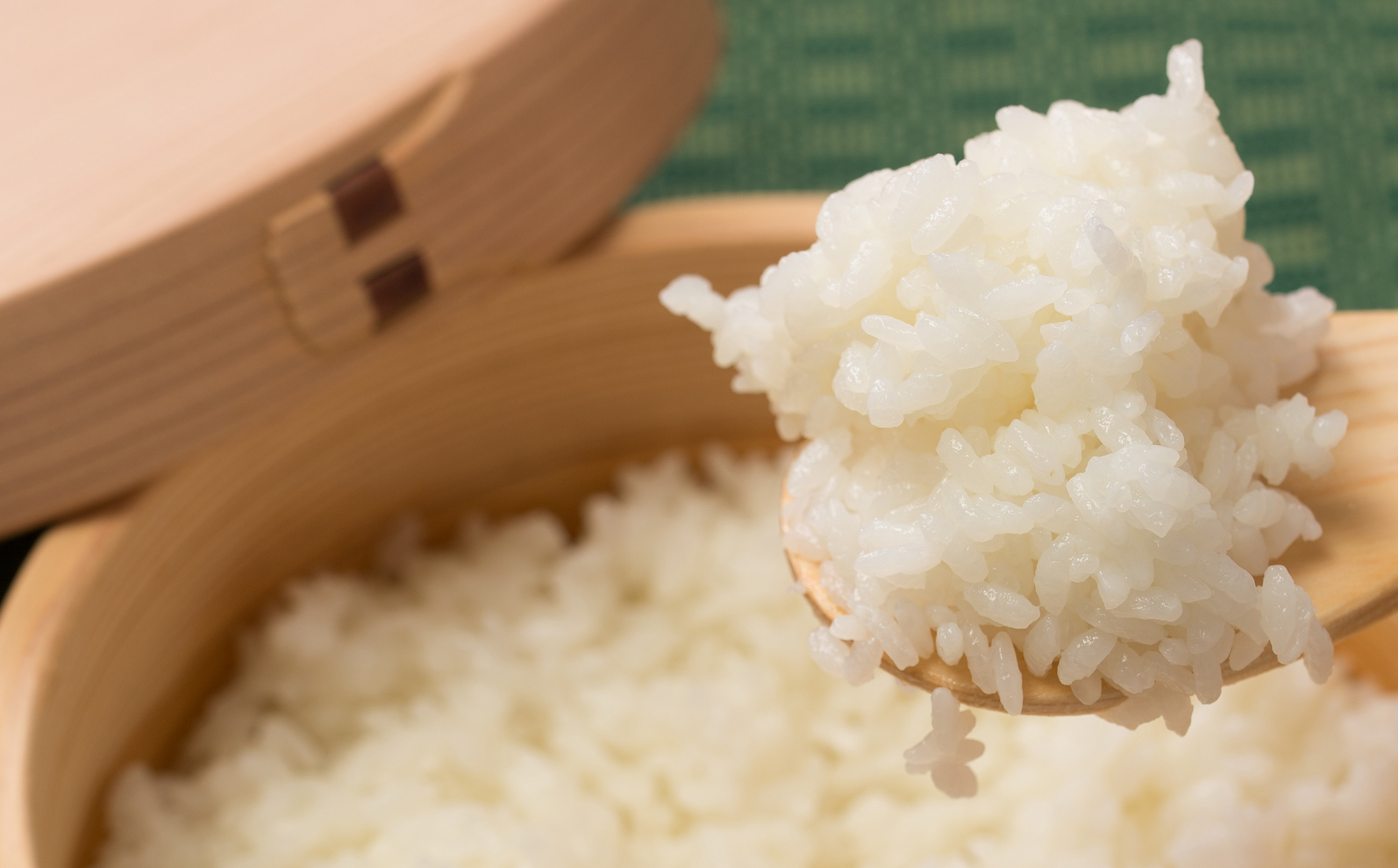 【定期便3ヶ月】秋田県産米「あきたこまち（無洗米）」 10kg（5kg×2袋）　300P9204