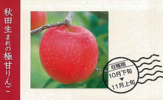 【数量限定・期間限定】65P3405　秋田限定りんご「秋田紅あかり」3kg