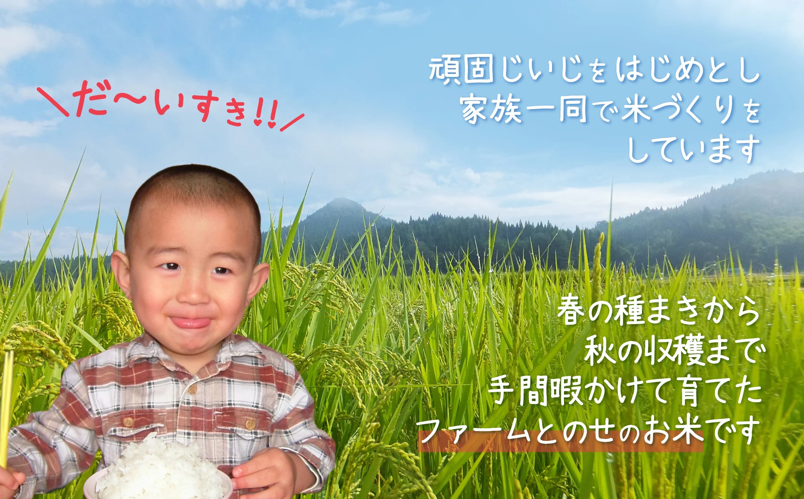 【令和6年産】ファームとのせ「あきたこまち 10kg (5kg×2)」　75P9012