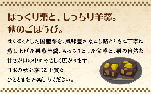 栗蒸し羊羹　８個入り　2箱　60P5616