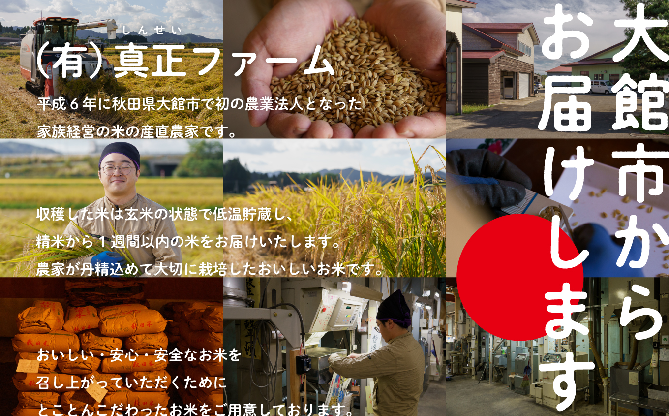 【定期便3ヶ月】令和7年産 秋田県産米「あきたこまち（白米）」 15kg（5kg×3袋）【真正ファーム】