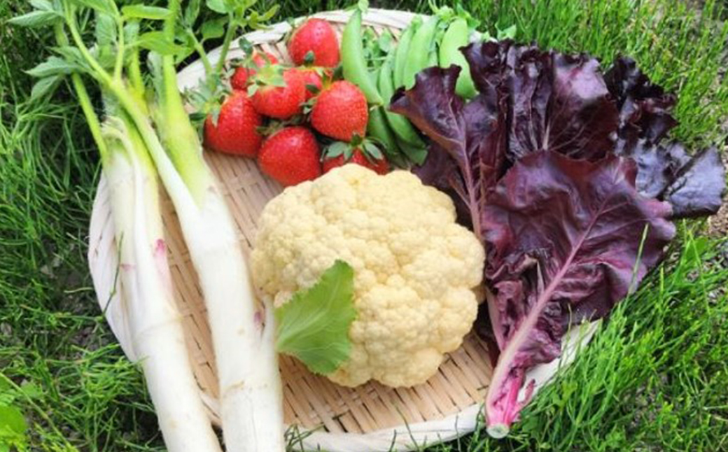 モリモリ野菜・山菜セット（5品目ほど） 75P3205