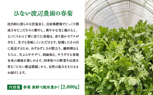 譏・闖 譁ー魄ョ縺ァ鬚ィ蜻ウ雎翫°シ 邏2,000g縲90P3203縲