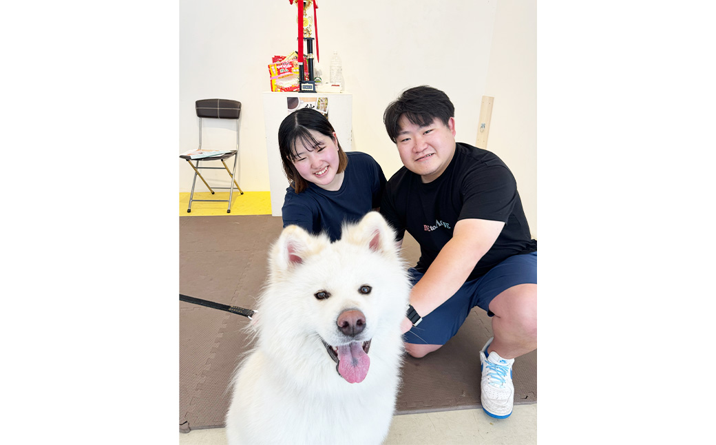 もふもふ秋田犬ふれあい体験30分 大人（中学生以上）　1名様（ふれあい10分・1ドリンク付）　【35P8401】