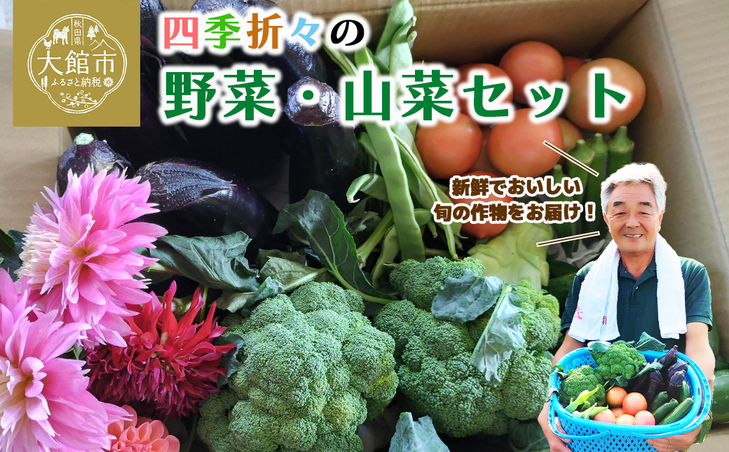 四季折々の野菜・山菜セット（5品目ほど）　45P3203