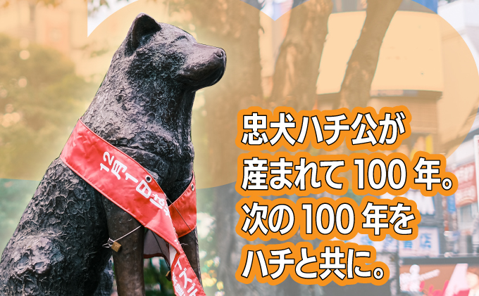 HACHI100繧ェ繝ェ繧ク繝翫Ν繝ュ繧エT繧キ繝」繝繝阪う繝薙シLシHACHI100繧ェ繝ェ繧ク繝翫Ν繧ウ繝繝医Φ蟾セ逹繧オ繝シ繝薙せ)縲30P7607