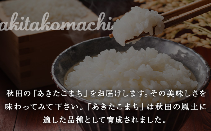 【令和6年産】渡辺農園の「あきたこまち」精米10kg（5kg×2袋）　170P9001