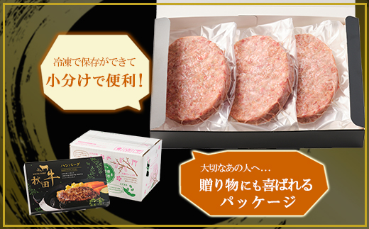 秋田牛ハンバーグ720g（120g×3個　2セット）　115P2601