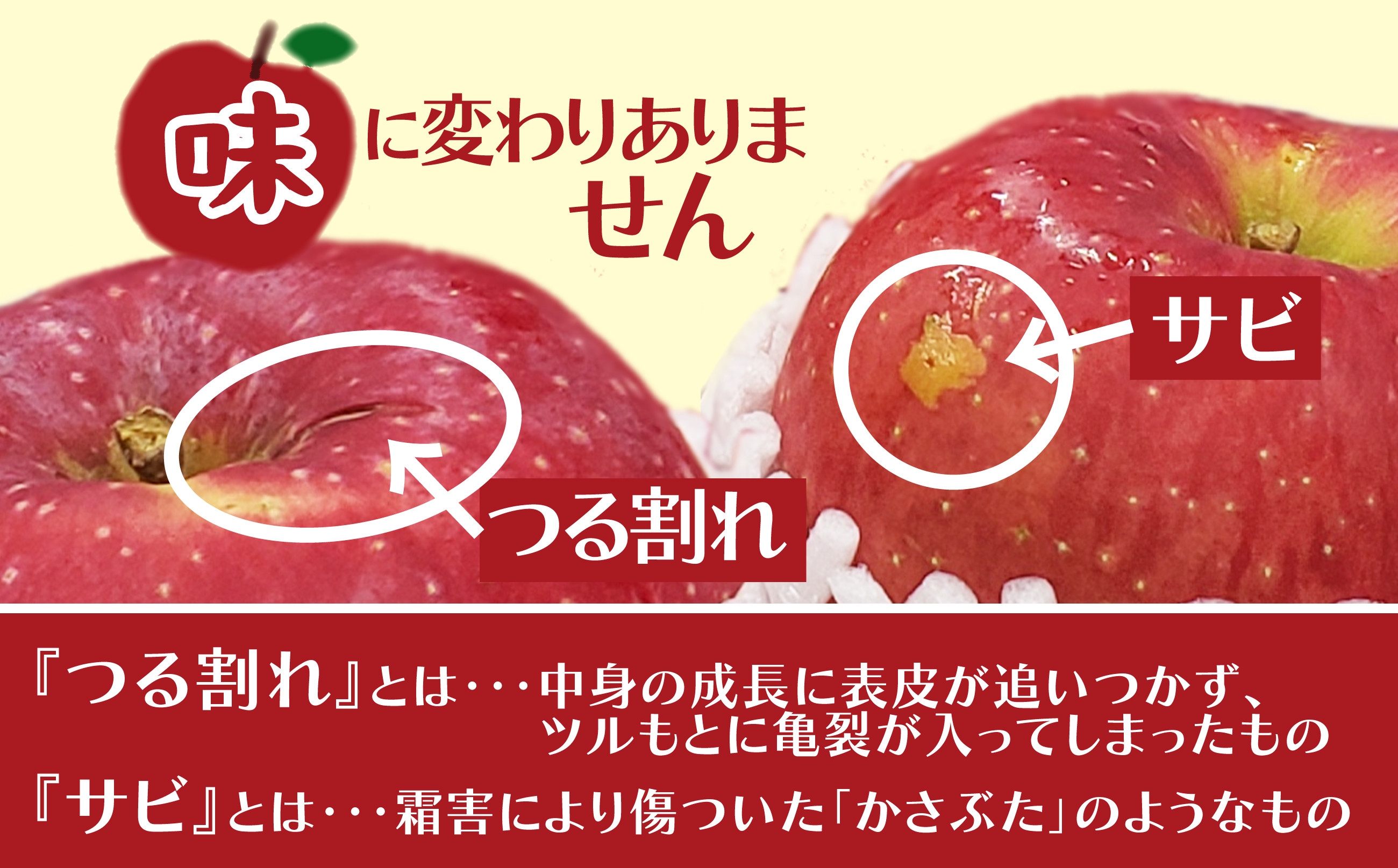 【数量限定・期間限定】85P3401　陽気な母さんの【訳あり】りんご「ふじ」　10kg