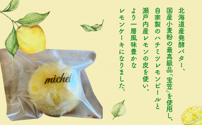 繝ャ繝「繝ウ繧ア繝シ繧ュ 10蛟句・縲70P5601