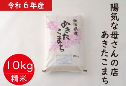 【令和6年産】あきたこまち10kg（10kg×1袋）　95P9001