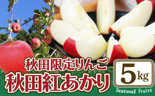 【先行予約】期間・数量限定【陽気な母さんの店】　Ｒ8年産「秋田紅あかり」（5kg）105P3401【陽気な母さんの店㈱】　