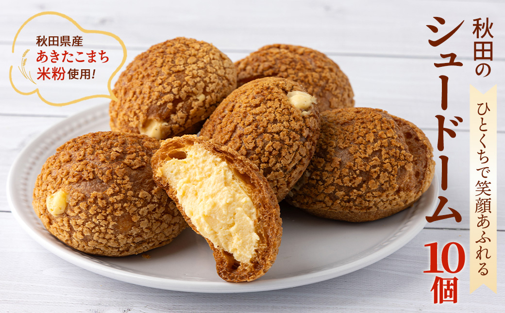 秋田のシュードーム　10個　箱入り　50P5621