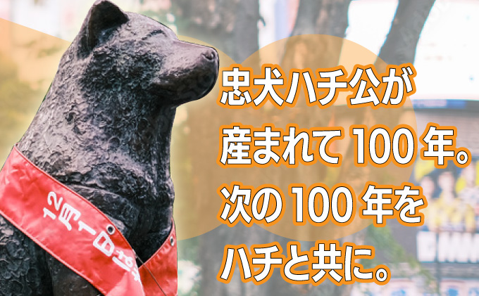 HACHI100グッズセット（HACHI100オリジナルピンバッジ・HACHIオリジナルステッカー・HACHIオリジナルコットン巾着）×各2個　50P7327