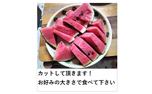 シャリっと甘い小玉スイカ！あきた夏丸チッチェ＜超特大1個＞　90P3404