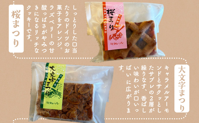 ミシェール10種味比べ　55P5614