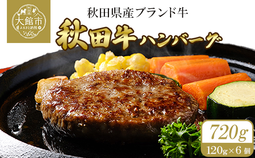 秋田牛ハンバーグ720g（120g×3個　2セット）　115P2601