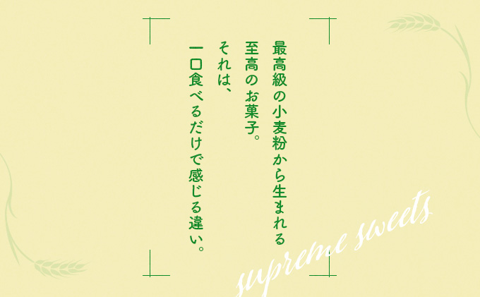 繝ャ繝「繝ウ繧ア繝シ繧ュ 10蛟句・縲70P5601