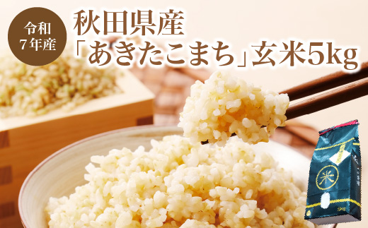 【令和7年産】秋田県産「あきたこまち」玄米5kg（5kg×1袋）　【90P9036】