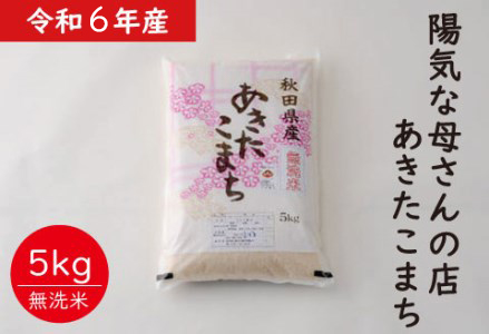 【令和6年産】【無洗米】あきたこまち5kg（5kg×1袋）　50P9202