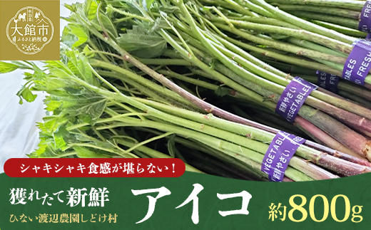 アイコ（ミヤマイラクサ） 約800g 秋田の山菜【120P3202】