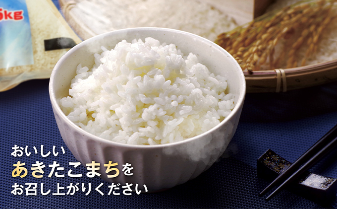 【令和5年11月発送予定】 令和5年産 なまはげの里の あきたこまち 白米 10kg 笹川商店 秋田県 男鹿市