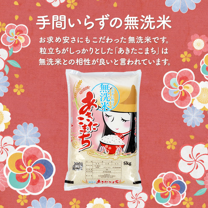 定期便 R6年度産 『こまち娘』あきたこまち 無洗米  5kg×1袋3ヶ月連続発送（合計15kg）吉運商店 秋田県 男鹿市