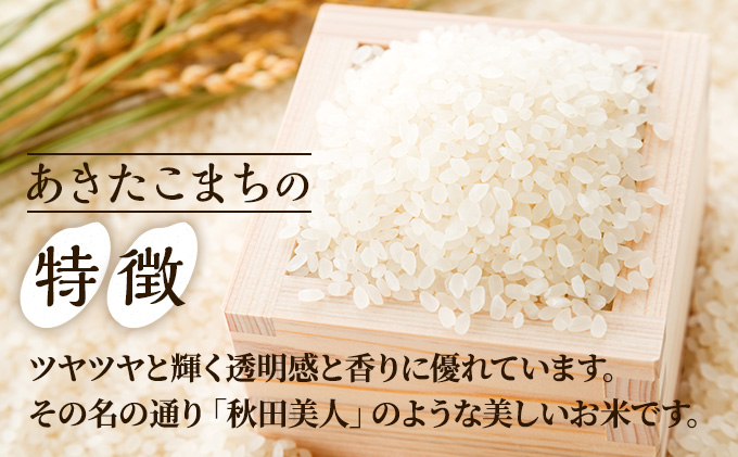 定期便 無洗米 令和4年産 あきたこまち 5kg×2袋 5ヶ月連続発送 秋田県 男鹿市 秋田食糧卸販売