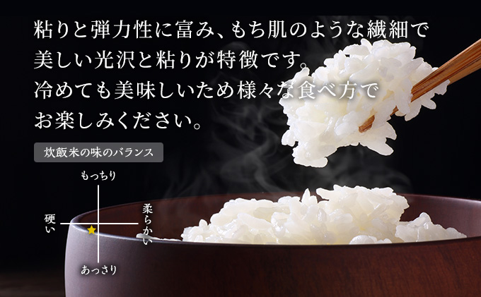 無洗米 令和6年産 あきたこまち 5kg×1袋 秋田県 男鹿市 秋田食糧卸販売 お米 新米 ご飯 おにぎり お弁当 秋田県産 産地直送 