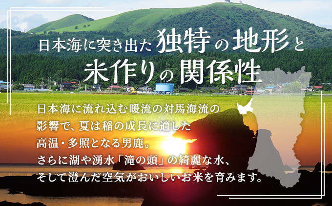 無洗米 令和6年産 あきたこまち 5kg×1袋 秋田県 男鹿市 秋田食糧卸販売 お米 新米 ご飯 おにぎり お弁当 秋田県産 産地直送 