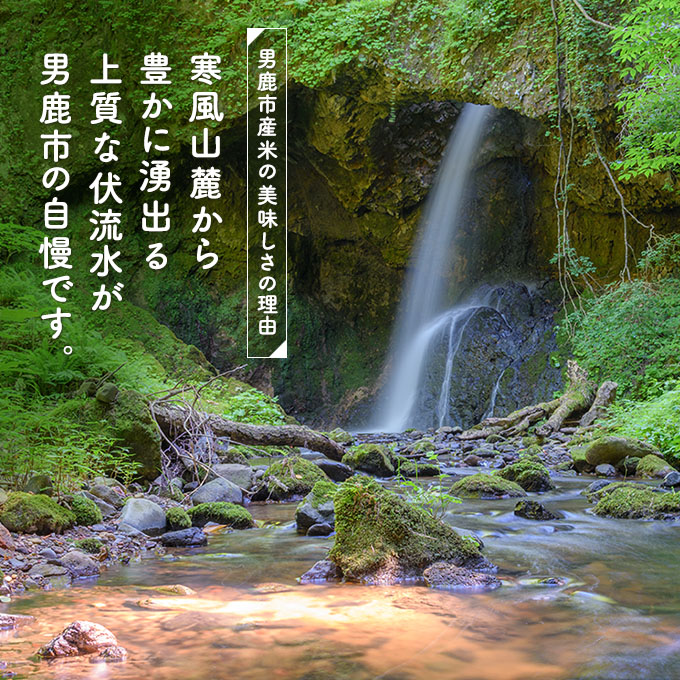 R6年度産  あきたこまち 無洗米 5kgｘ4袋『こまち娘』吉運商店 秋田県 男鹿市