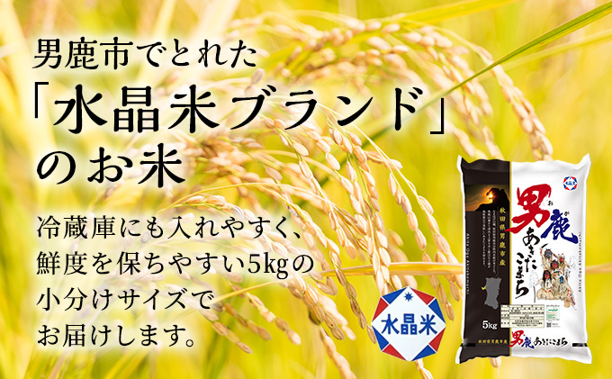 定期便 無洗米 令和5年産 あきたこまち 10kg 5kg×2袋 6ヶ月連続発送（合計 60kg） 秋田食糧卸販売