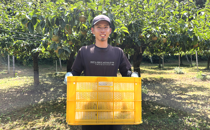 先行予約 男鹿梨 「大将梨園」豊水 約3kg 6～8コ 3～5L 梨 秋田県 男鹿市