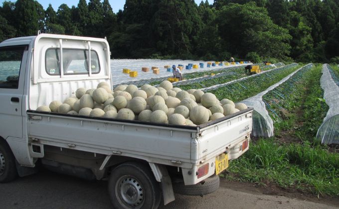 メロン2玉（若美レッド）　秋田県男鹿市産