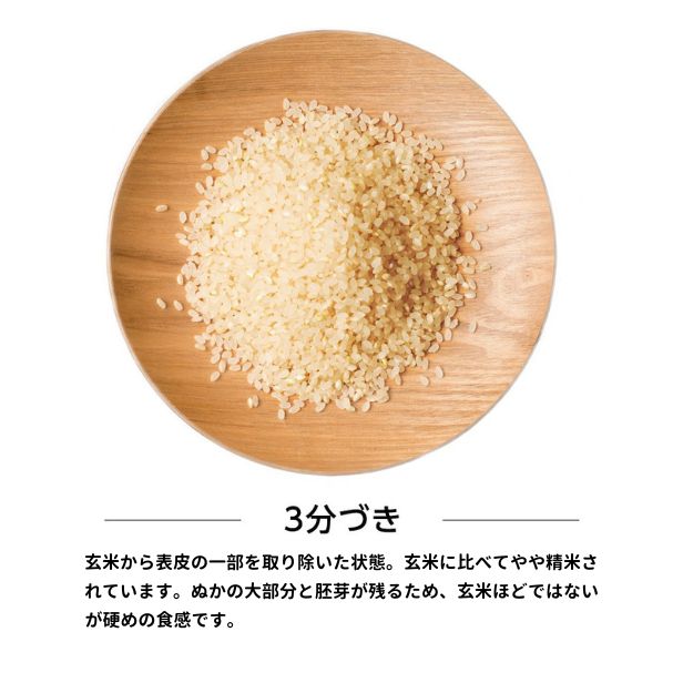 【新米予約】令和6年産 秋田県産あきたこまち 5kg(三分づき) 9月下旬順次発送