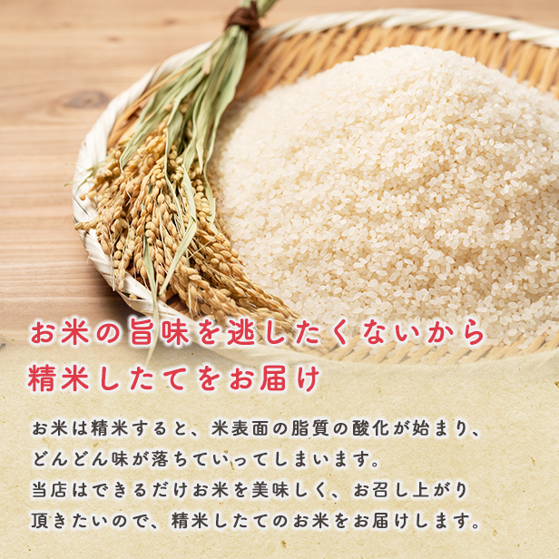 【新米予約】令和6年産秋田県産あきたこまち27kg(七分づき) 9月下旬順次発送