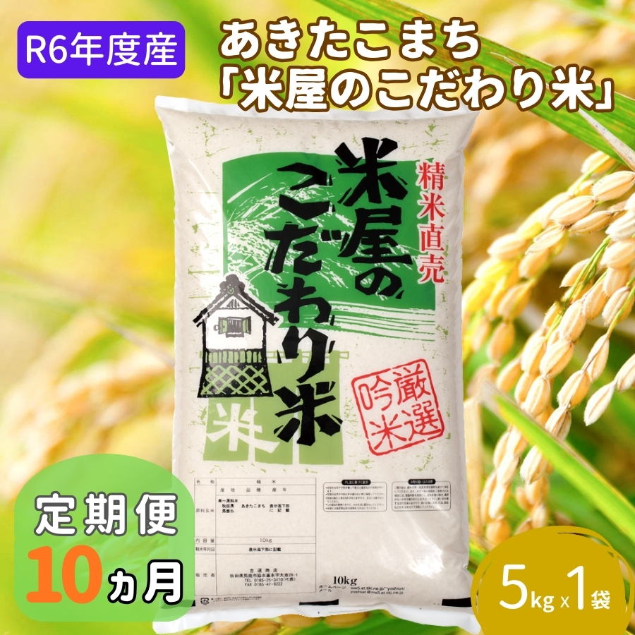 米 定期便 R6年度産  『米屋のこだわり米』 あきたこまち 白米 5kg 10ヶ月連続発送（合計50kg）吉運商店 秋田県 男鹿市 精米 お米 お弁当 おにぎり