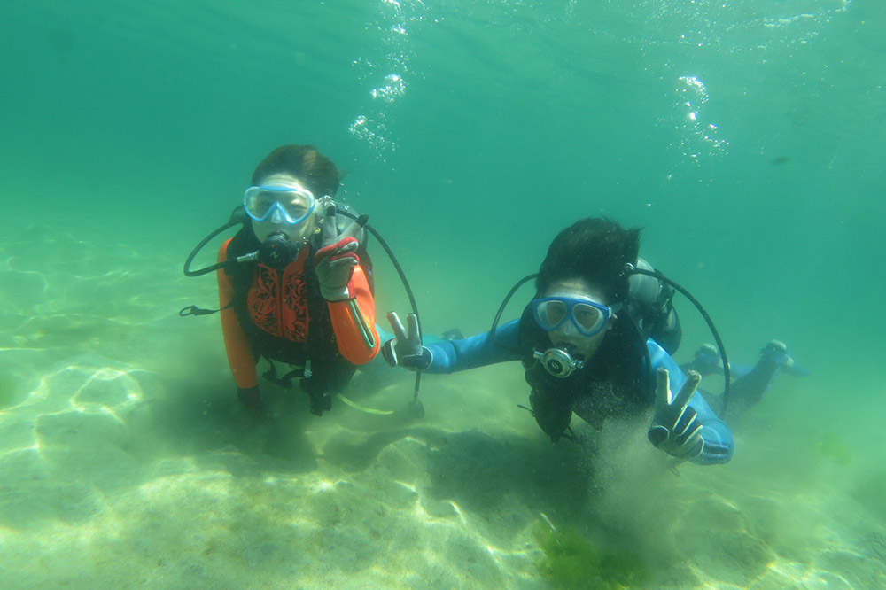 【なまはげの海でダイビング！！】 海洋体験ビーチダイビング 1名様 秋田県 男鹿半島 男鹿市