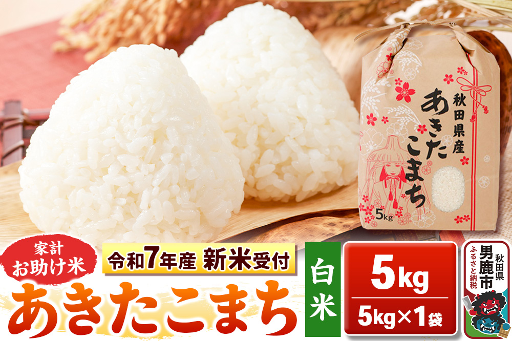 《令和7年産 新米受付》【白米】家計お助け米 あきたこまち 5kg 秋田県 男鹿市 こまちライン