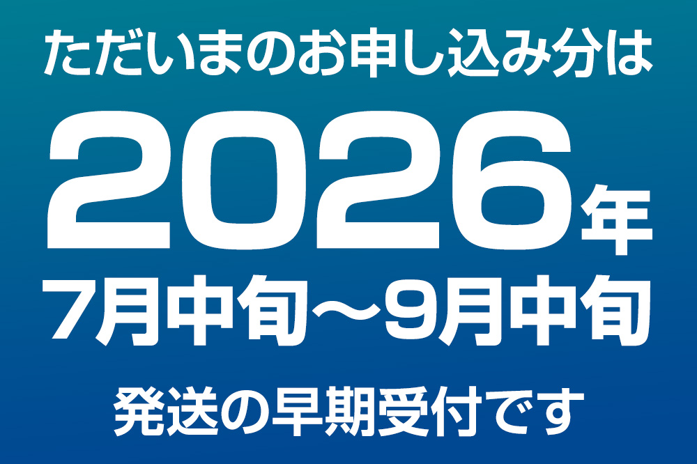 ババヘラ・バラ盛り(3個)メロンバラ盛り(3個)セット【進藤冷菓】 ご当地アイス