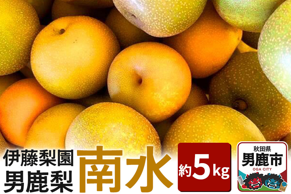 【先行受付】男鹿梨 「伊藤梨園」の南水 梨 約5kg 2L〜3L 14玉〜16玉 秋田県 男鹿市 旬の果物 2026年10月中旬以降出荷