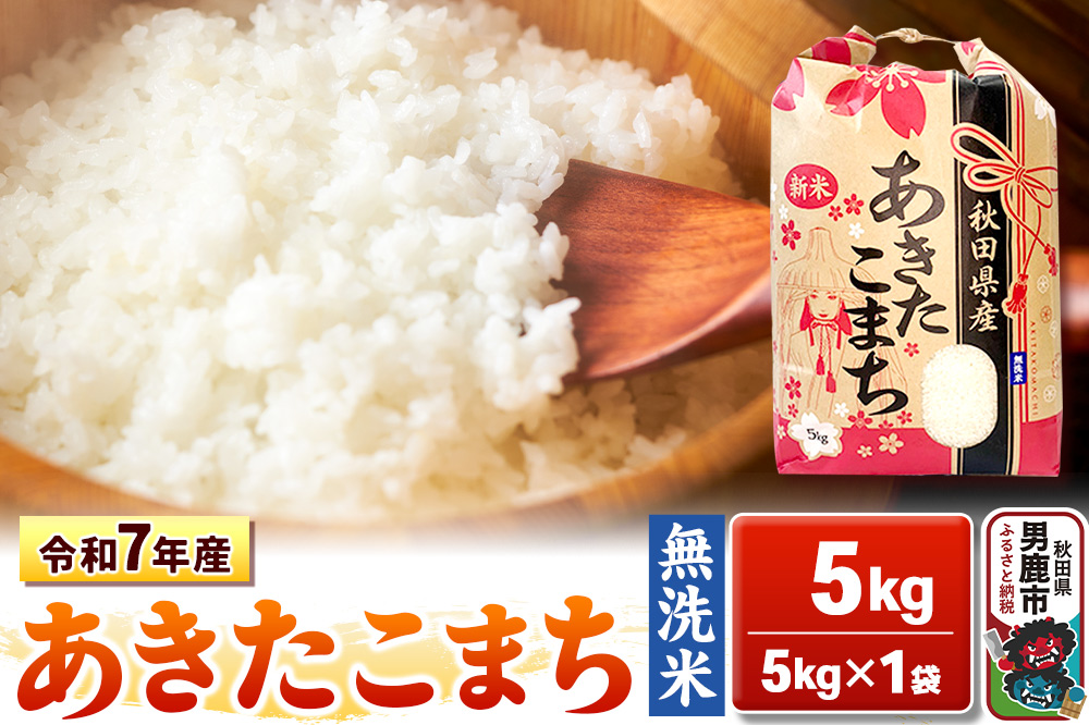 令和7年産【無洗米】秋田県産 あきたこまち 5kg 秋田県 男鹿市 こまちライン