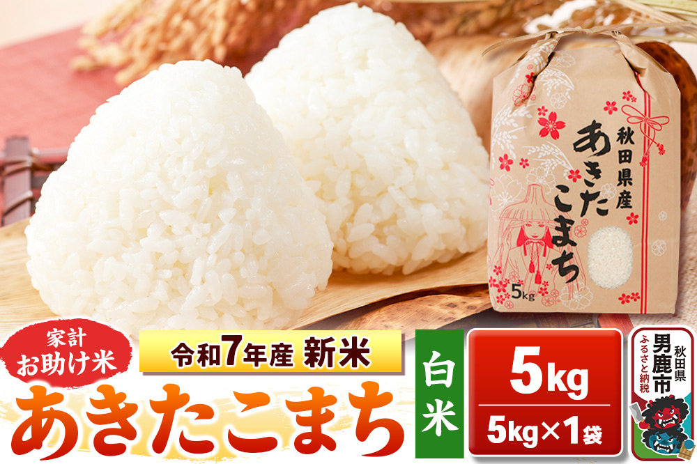 令和7年産 新米【白米】家計お助け米 あきたこまち 5kg 秋田県 男鹿市 こまちライン