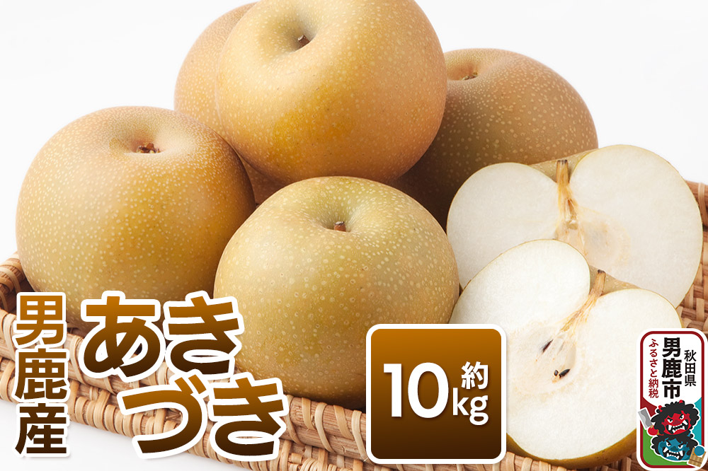 【令和8年度 早期受付】あきづき 約10kg 9月下旬〜10月中旬発送 梨 旬の果物 ギフト 秋田県 男鹿市 男鹿ファーム直売所