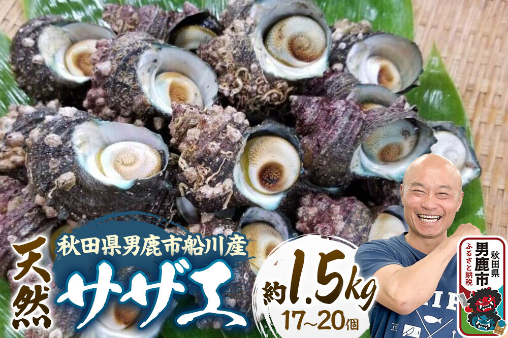 サザエ 約1.5kg 17個〜20個前後入り 秋田県男鹿市 つりショップ海風 [さざえ 海鮮 BBQ 天然 刺身 栄螺 つぼ焼き壺焼き つまみ 国産]