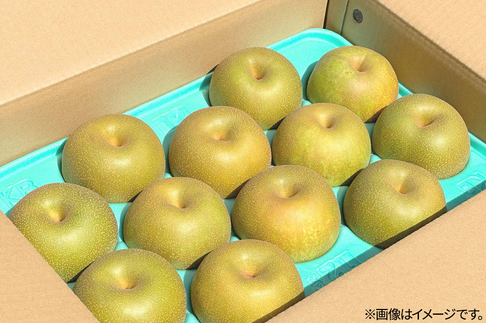 《先行受付》男鹿の梨 豊水 約5kg 8〜14玉 梨 秋田県 男鹿市 ＜めぐみ農園＞ 2026年9月中旬より発送