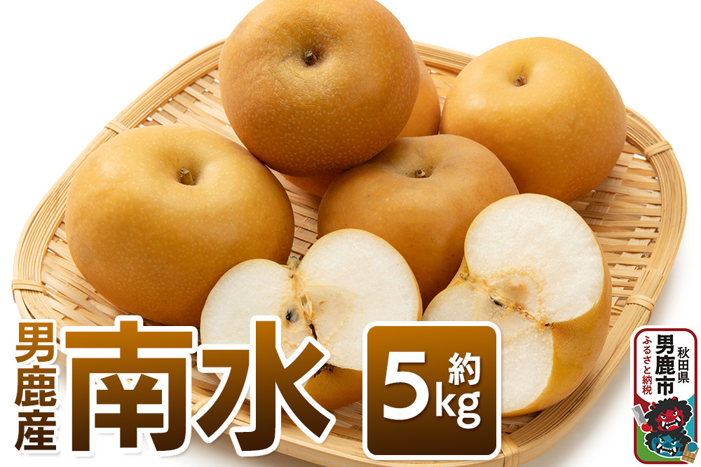【令和8年度 早期受付】 南水 約5kg 10月中旬〜11月中旬発送 梨 旬の果物 ギフト 秋田県 男鹿市 男鹿ファーム直売所